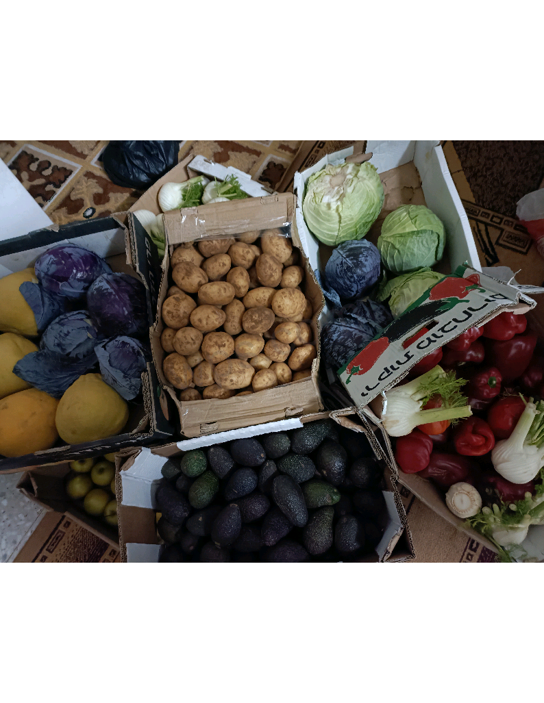 توزيع طرود خضار